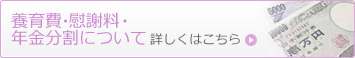 養育費・慰謝料・ 年金分割について詳しくはこちら